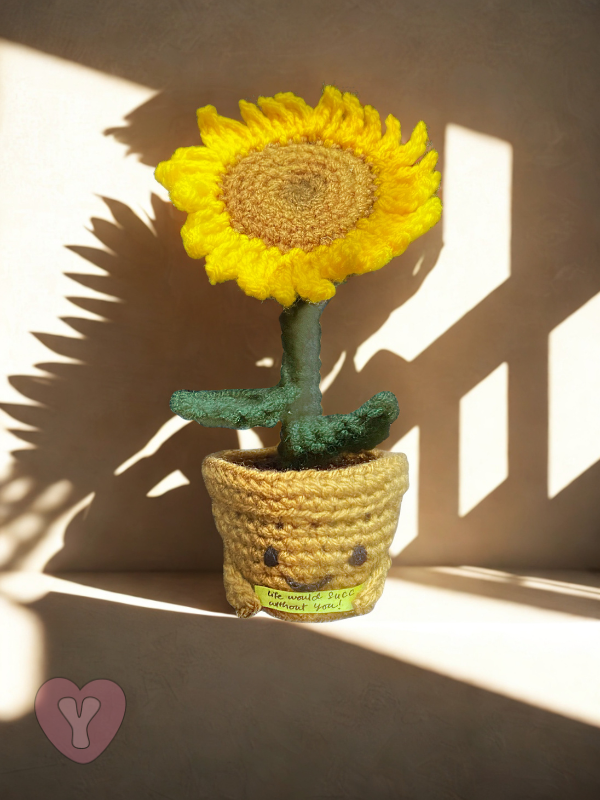 Sunflower in a Pot